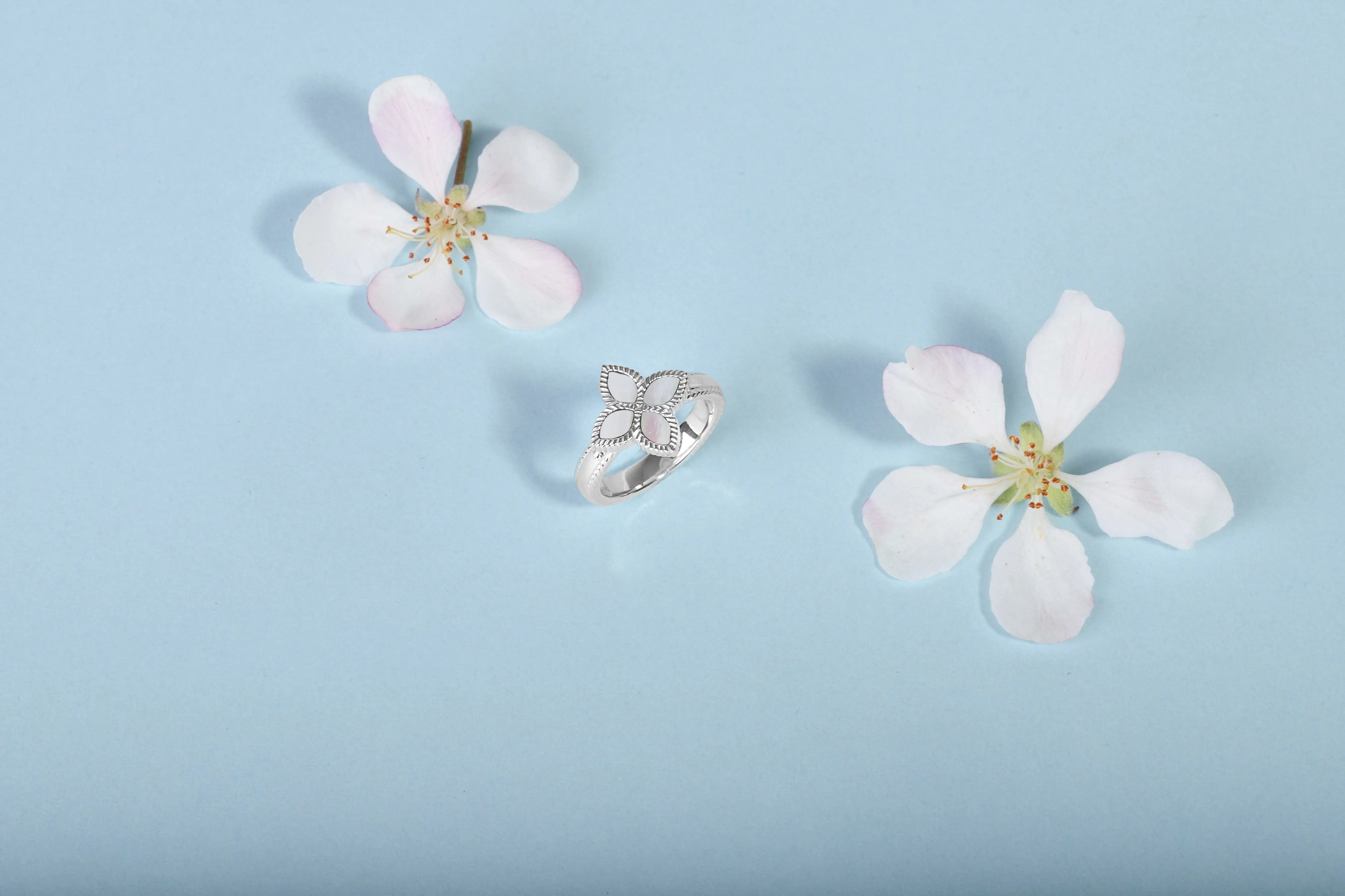 18ct Rose Gold White Mother of Pearl Eden Marquise Flower Ring