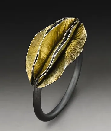 Multi pod ring